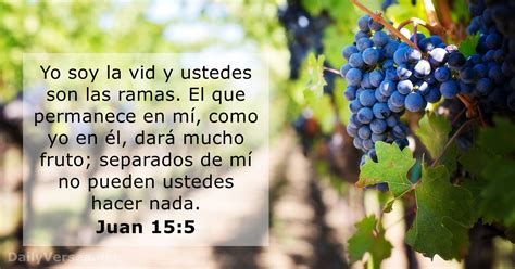 Juan 15:5 .